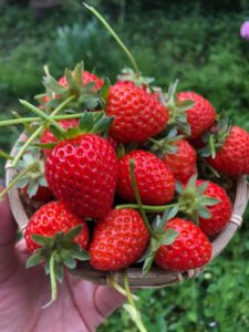 5/14 木曜パンの日