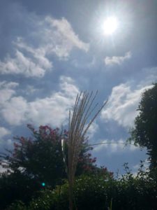 9/2-3 木曜パンの日/金曜ドカン!