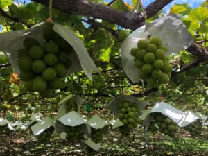 9/30 木曜パンの日