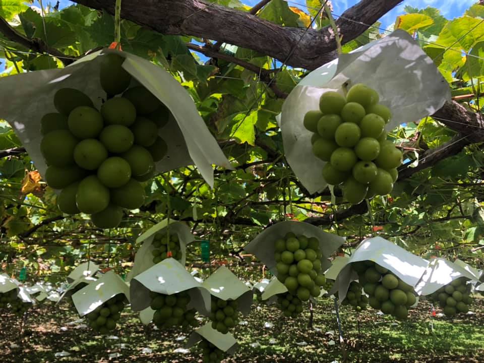 9/30 木曜パンの日