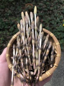 3/24-25 木曜＆金曜パンの日