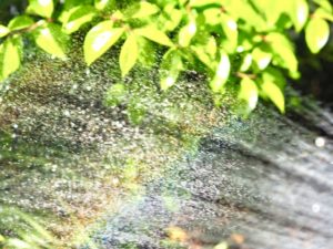 8/26 廣田さんちの金曜パン 水遊び！