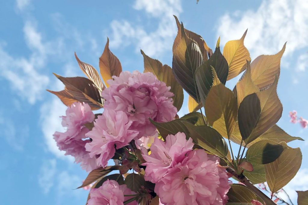 4/13-14 木曜＆金曜パンの日