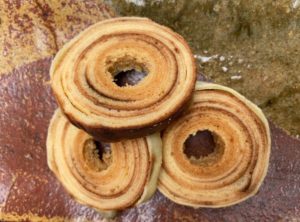 9/28-29 木曜&金曜パンの日