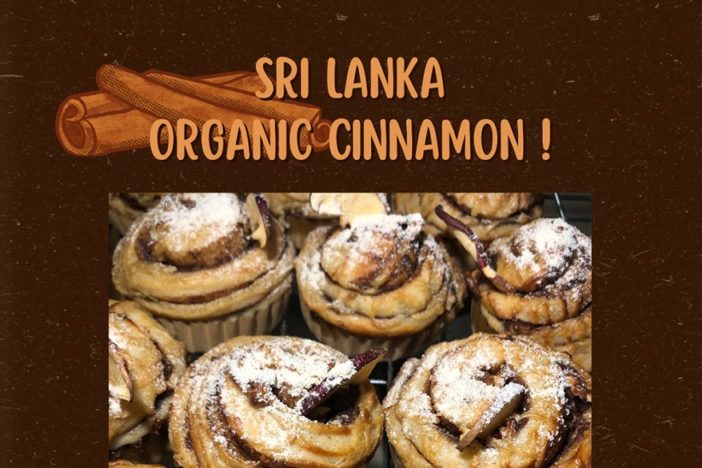 11/2-3 木曜＆金曜パンの日