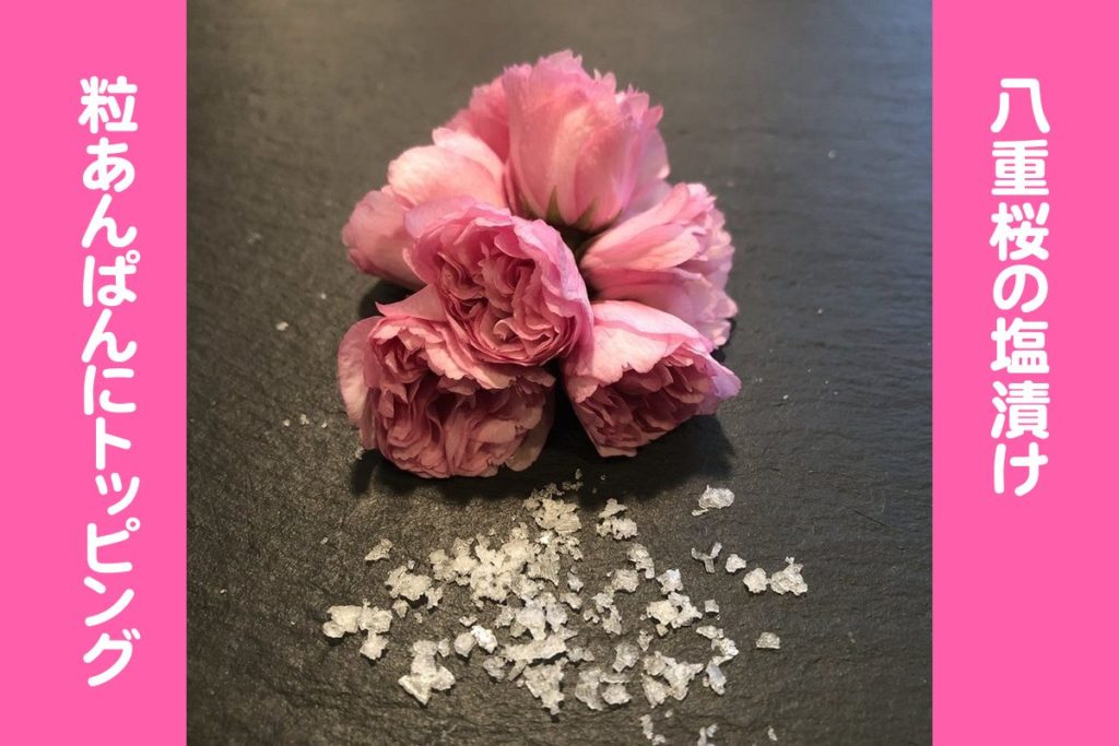 6/27-28 木曜＆金曜パンの日